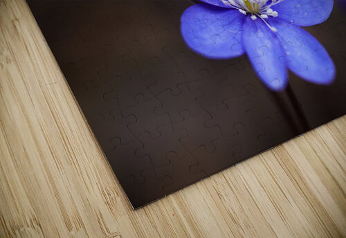 Spring Blossoms Vetre puzzle