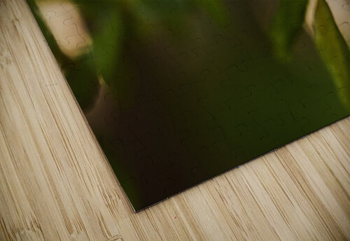 Blossoming Serenity Vetre puzzle