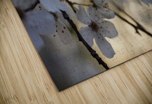 Spring Blossoms Vetre puzzle