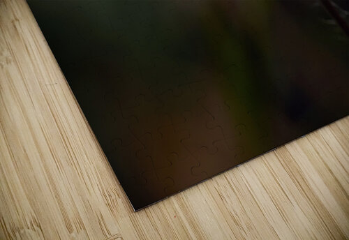 Raindrop on Petals Vetre puzzle