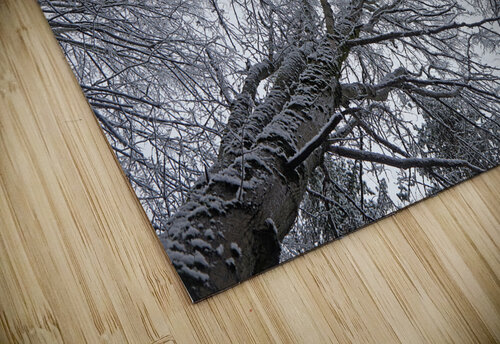 Winter Canopy Vetre puzzle