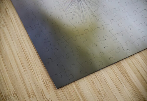 Dandelion Dream Vetre puzzle