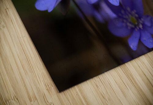 Blue Blossoms Vetre puzzle