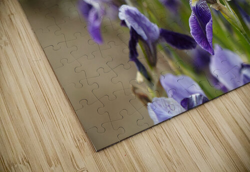 Purple Irises in Bloom Vetre puzzle