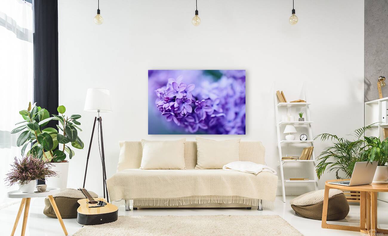 Lilac Blossoms in Soft Focus Reproduction