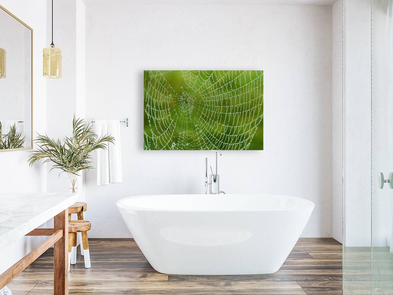 Dewy Spiderweb Reproduction