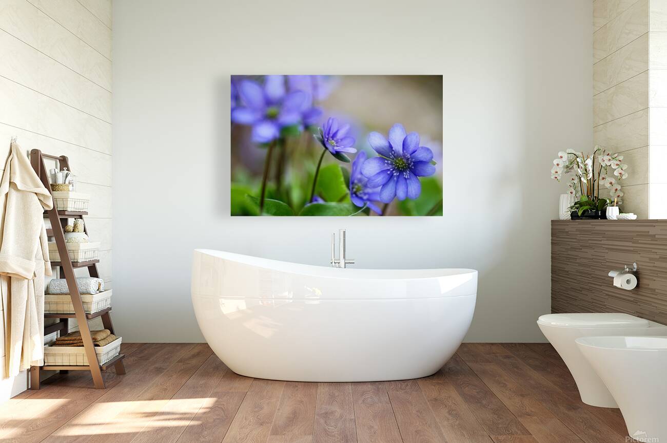Purple Wildflowers Reproduction