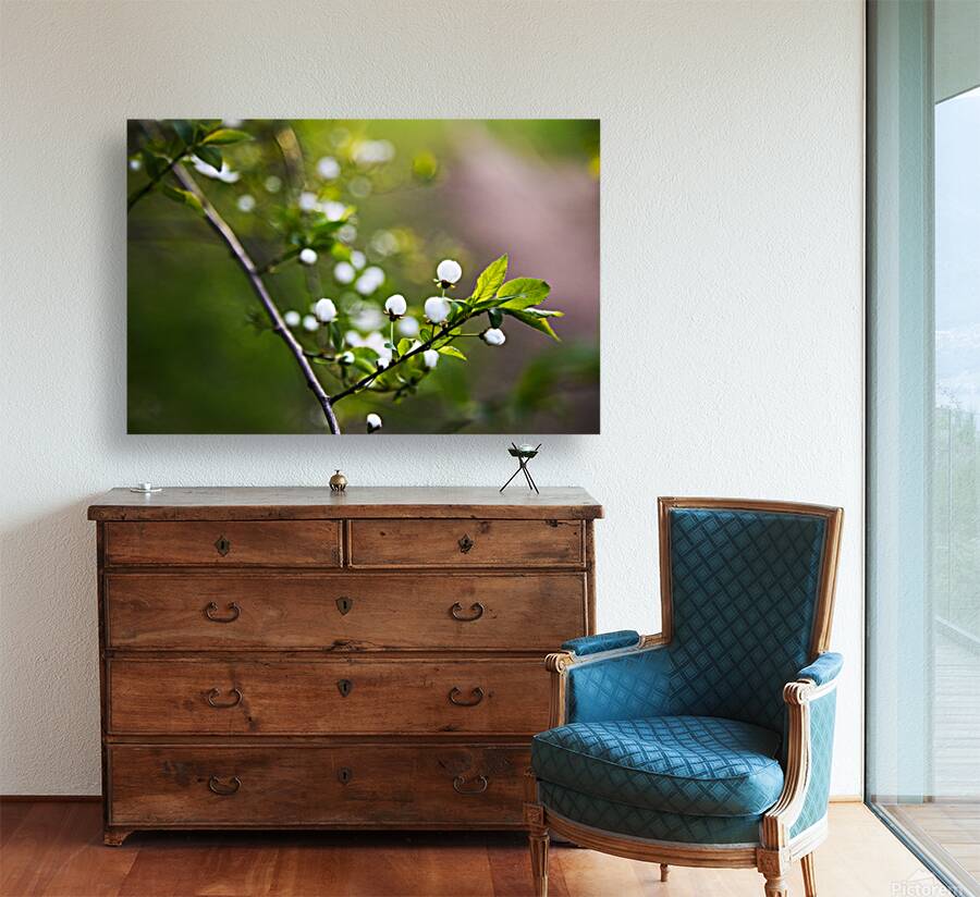Blossoming Branch Reproduction