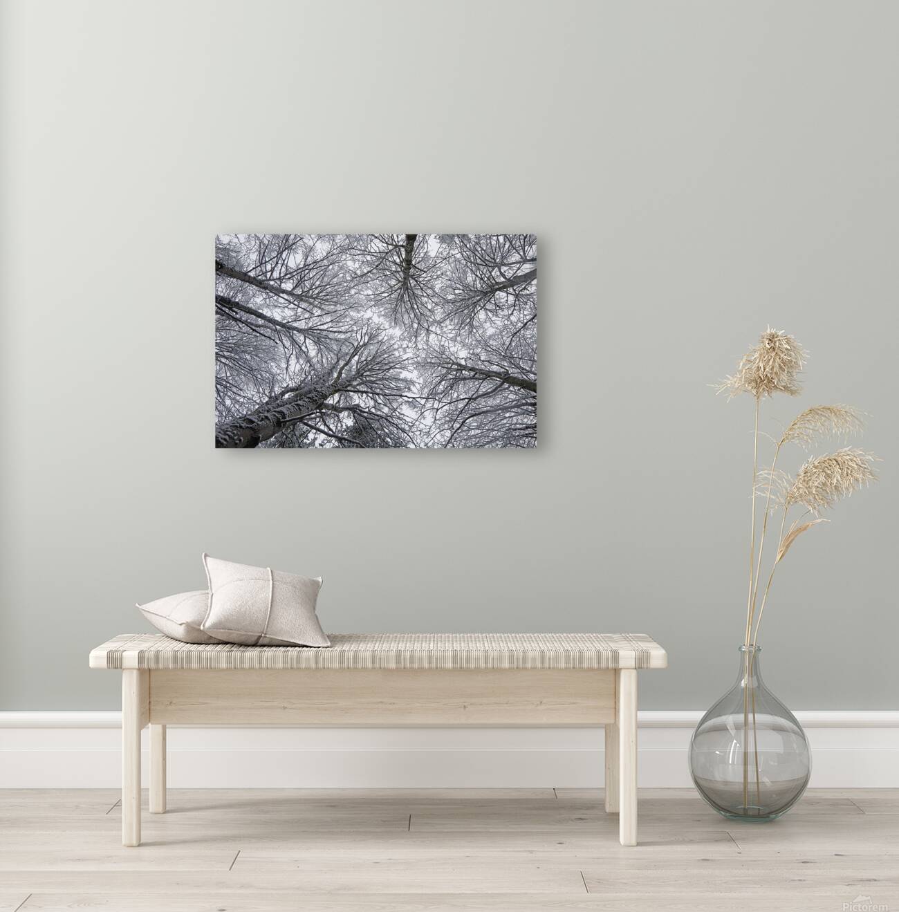 Winter Canopy Reproduction