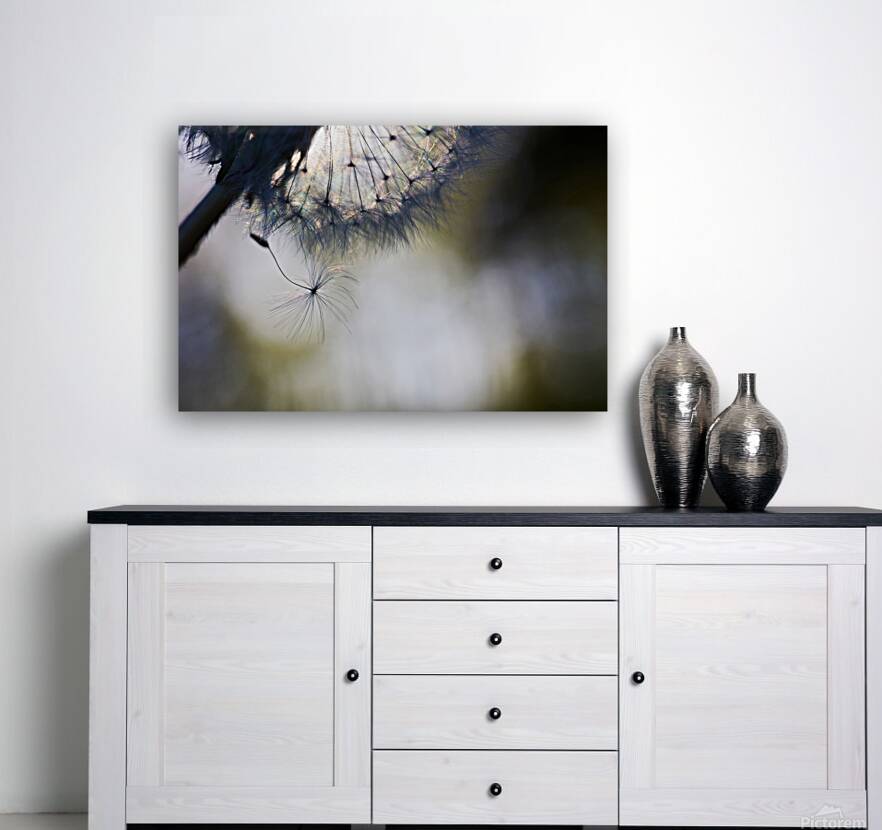 Dandelion Dream Reproduction