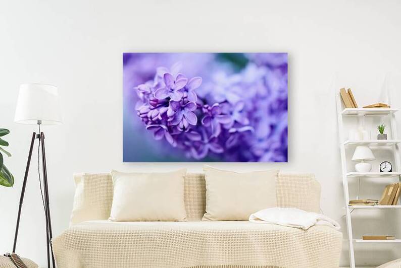 Lilac Blossoms in Soft Focus by Vetre