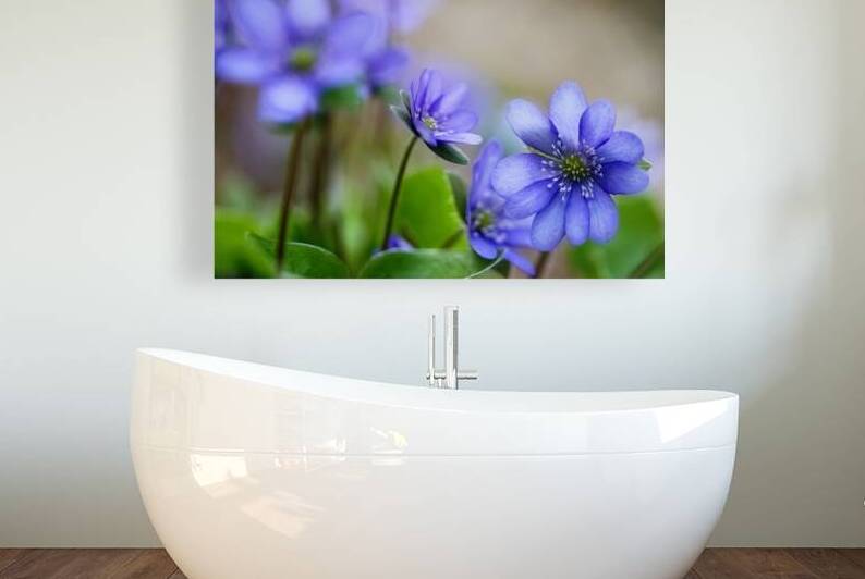 Purple Wildflowers by Vetre