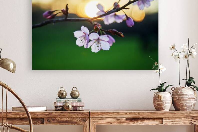 Sunset Blossoms by Vetre