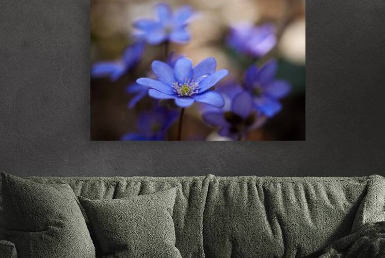 Tranquil Blue Blossoms by Vetre