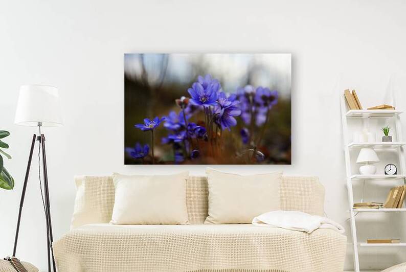 Wild Blue Blossoms by Vetre