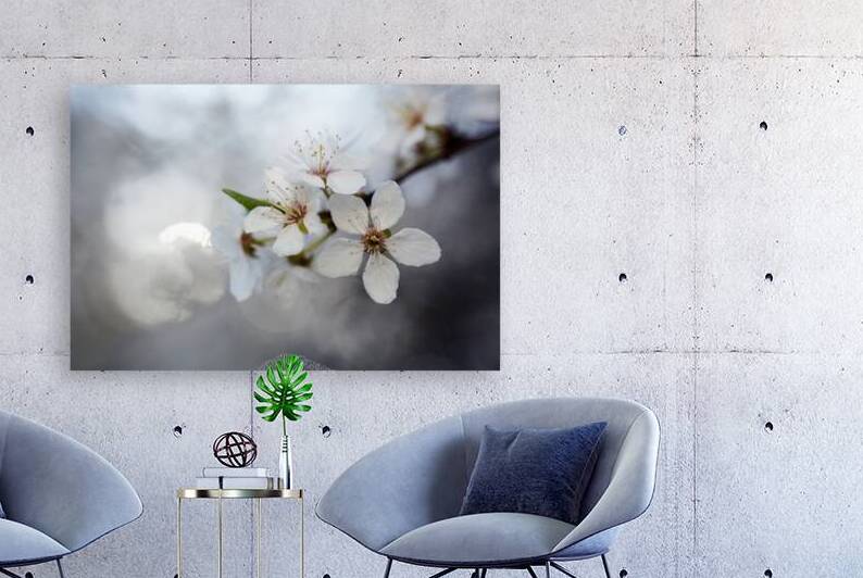 Blossoming Beauty by Vetre