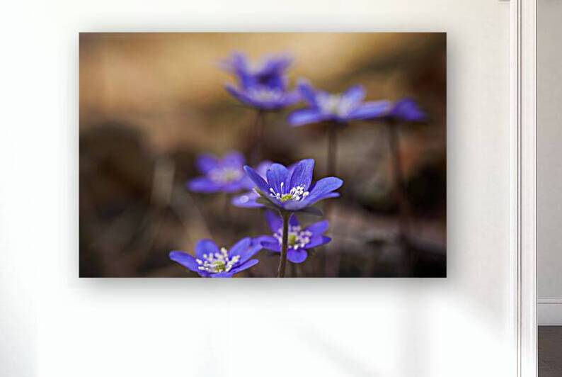 Purple Wildflowers by Vetre
