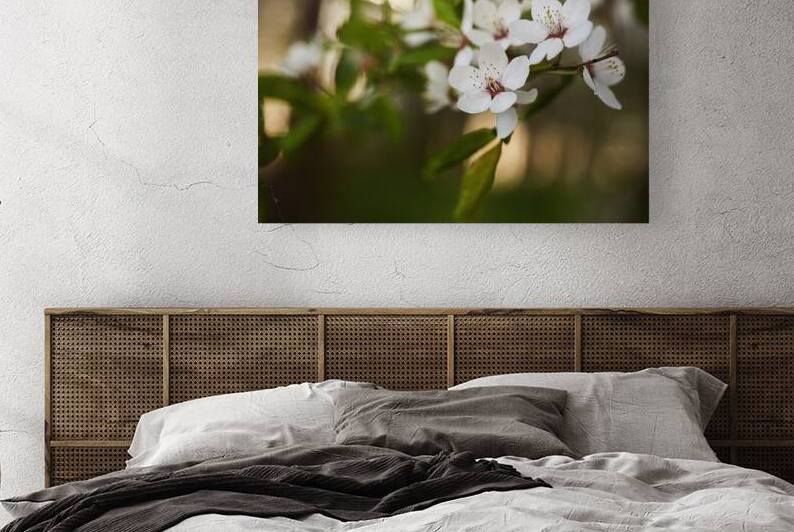 Blossoming Serenity by Vetre