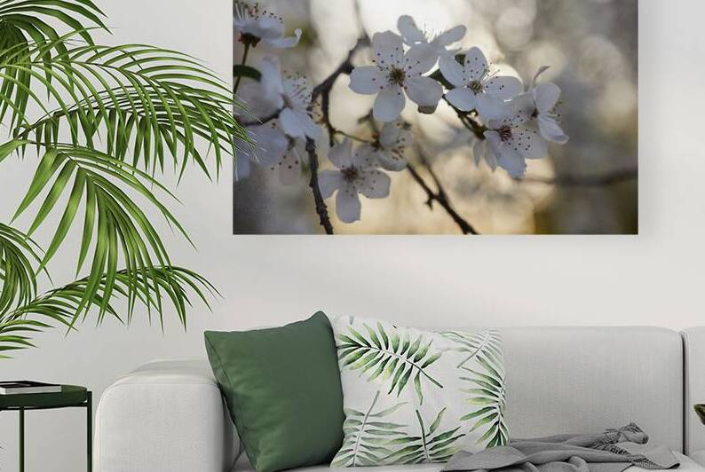 Spring Blossoms by Vetre