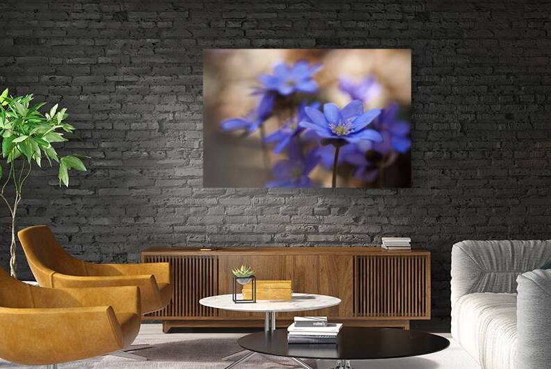 Blue blossoms by Vetre