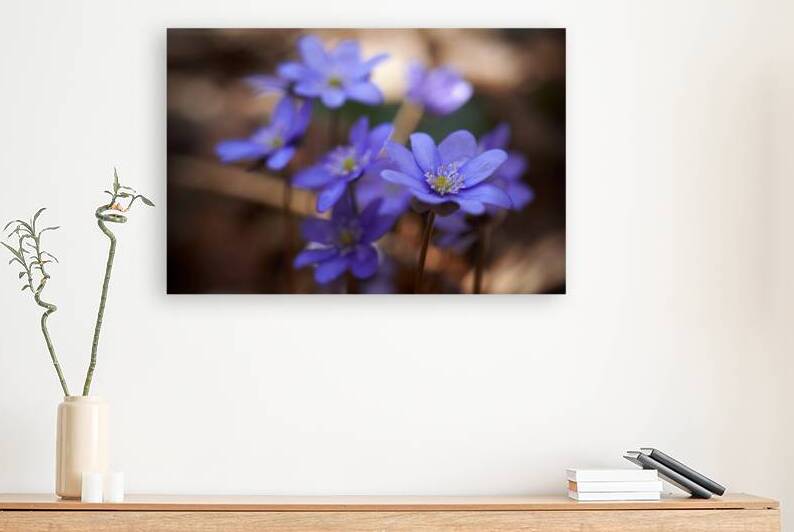 Purple Wildflowers by Vetre