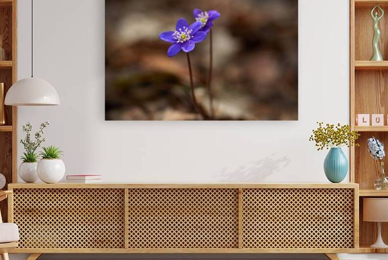Purple Wildflowers by Vetre