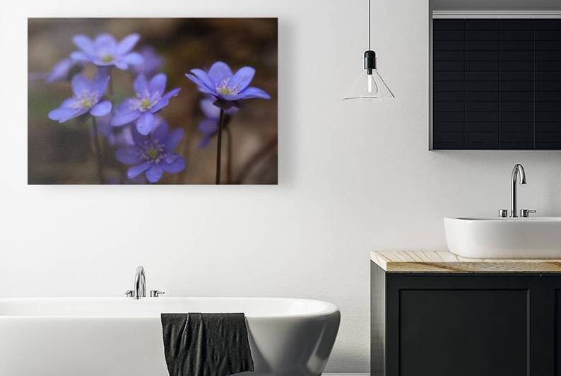 Blue Blossoms by Vetre