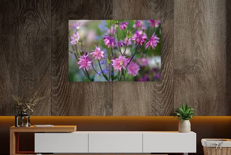 Pink flowers by Vetre