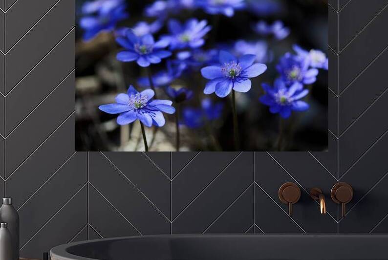 Blue Blossoms. Vibrant blue flowers in close up emphasizing serene beauty and details. by Vetre
