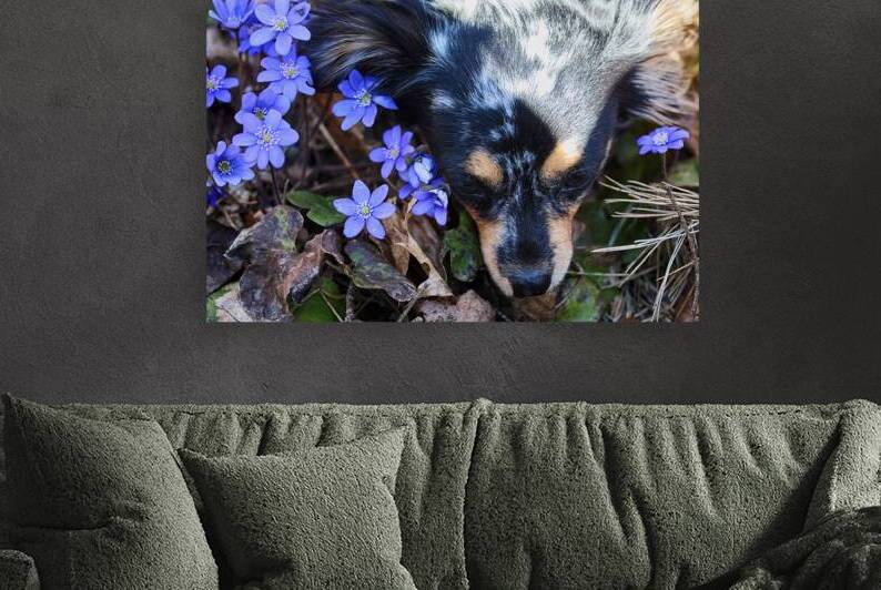 Dog Among Flowers by Vetre