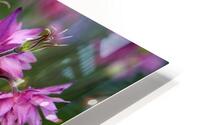 Pink flowers HD Metal print