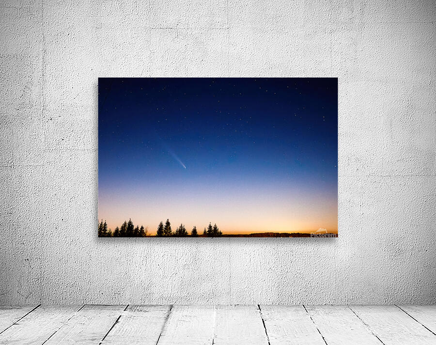 Comet Over Forest Wall Preview