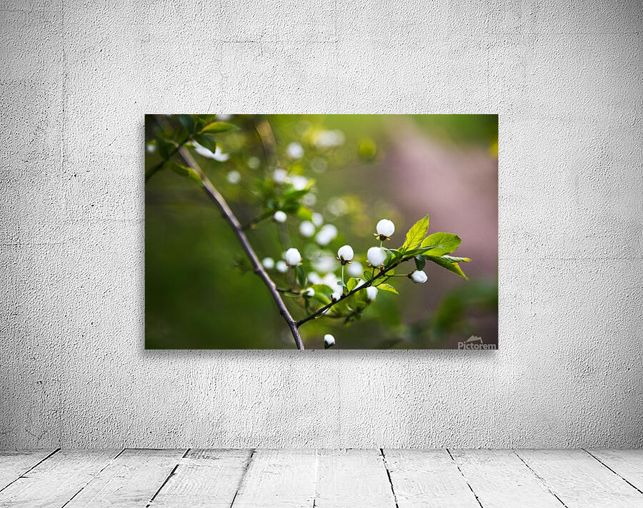 Blossoming Branch Wall Preview