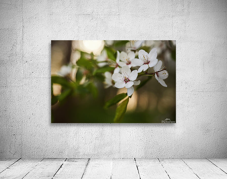 Blossoming Serenity Wall Preview