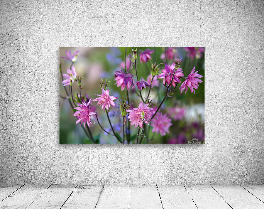 Pink flowers Wall Preview