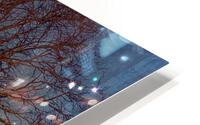 The Magic Tree HD Metal print