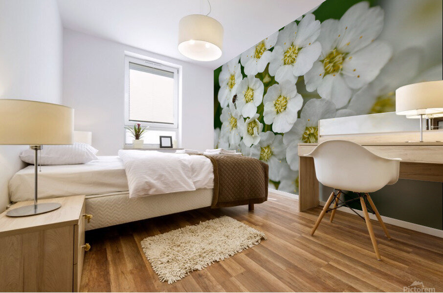 White Flowers  Mural print
