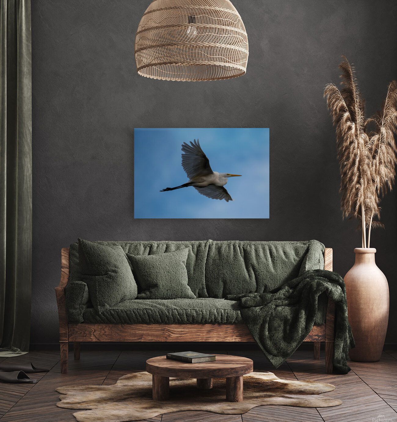 Great Egret  Reproduction
