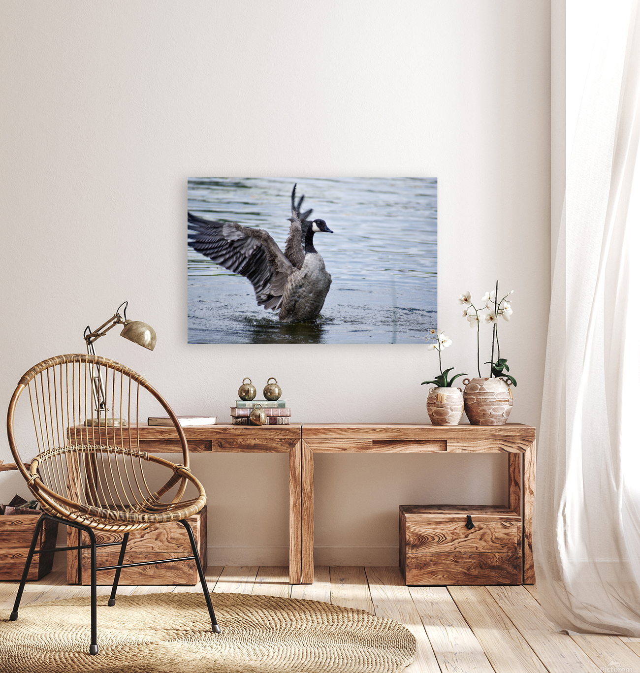 Canada Goose Reproduction
