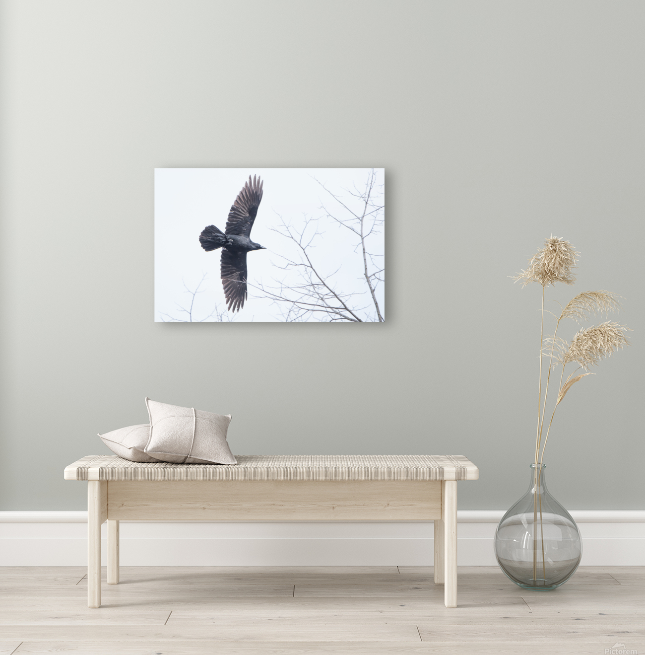 Common Raven  Reproduction