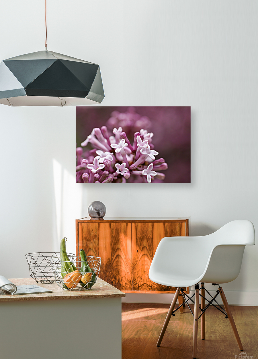 Lilac Reproduction