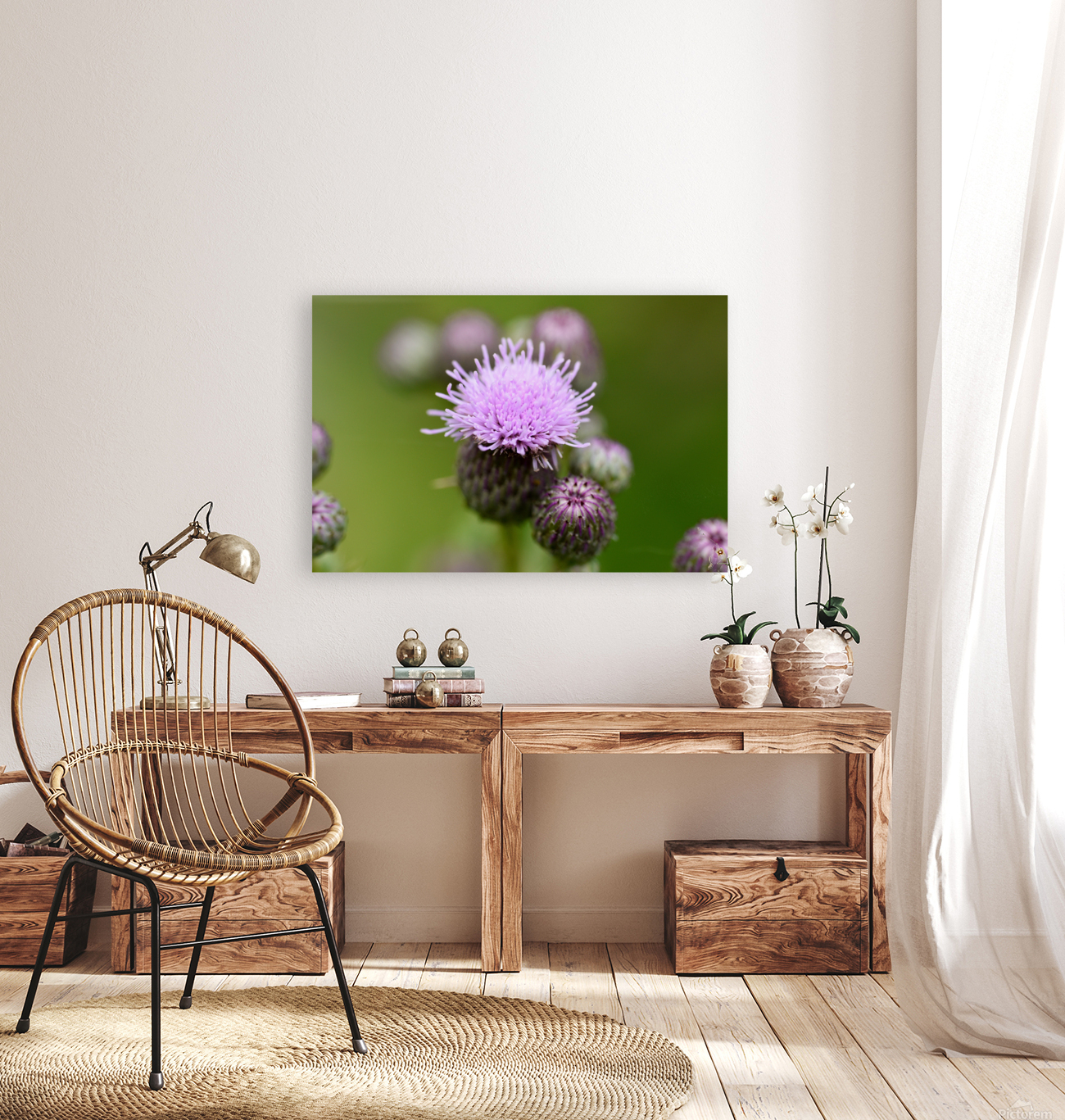 Thistle  Reproduction