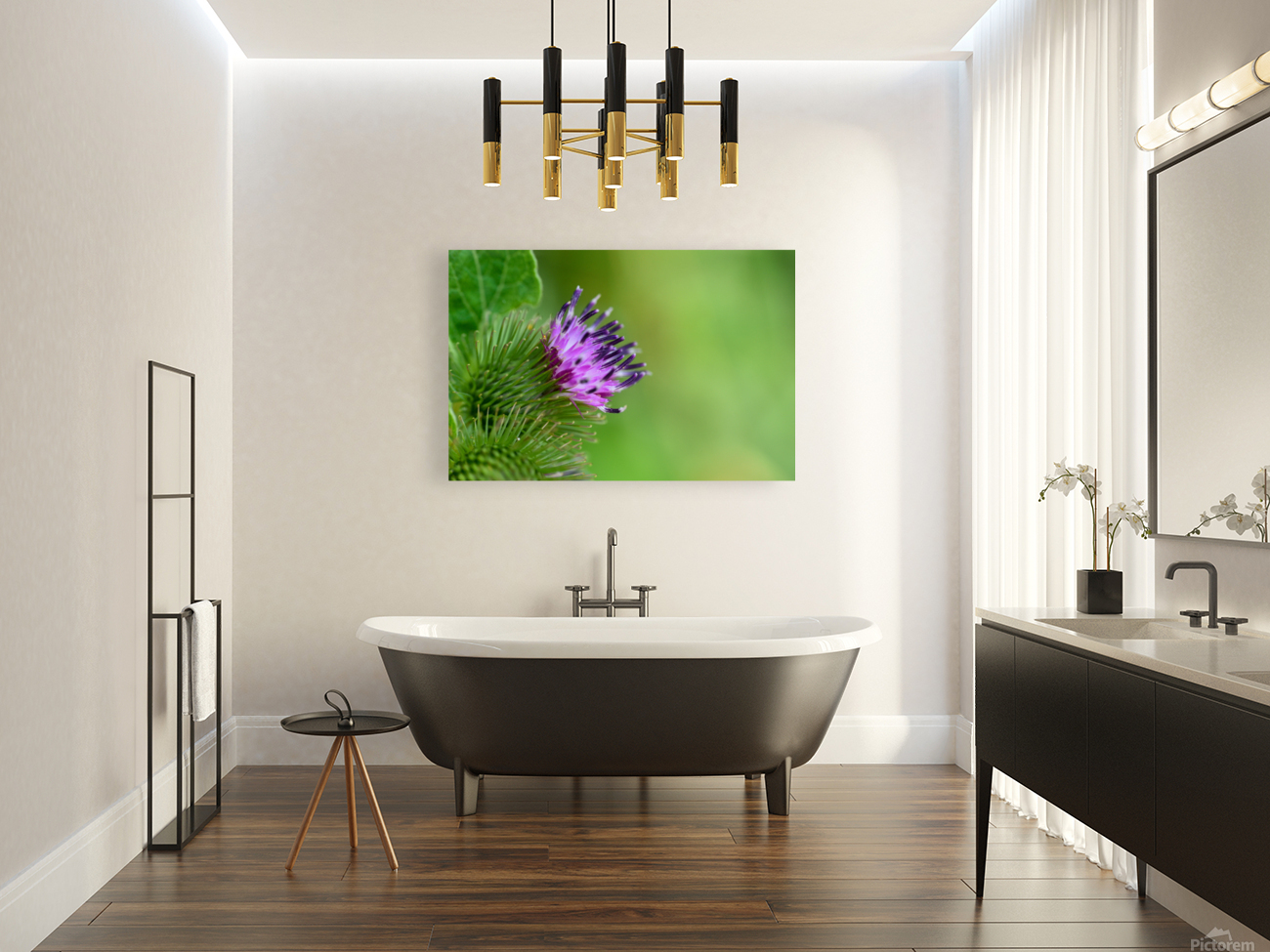 Thistle  Reproduction