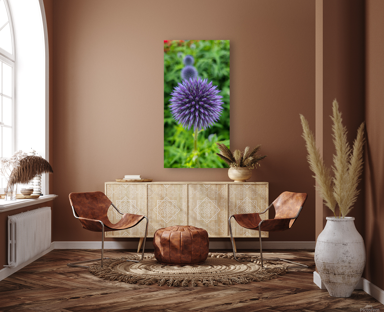 Blue Globe Thistle  Reproduction