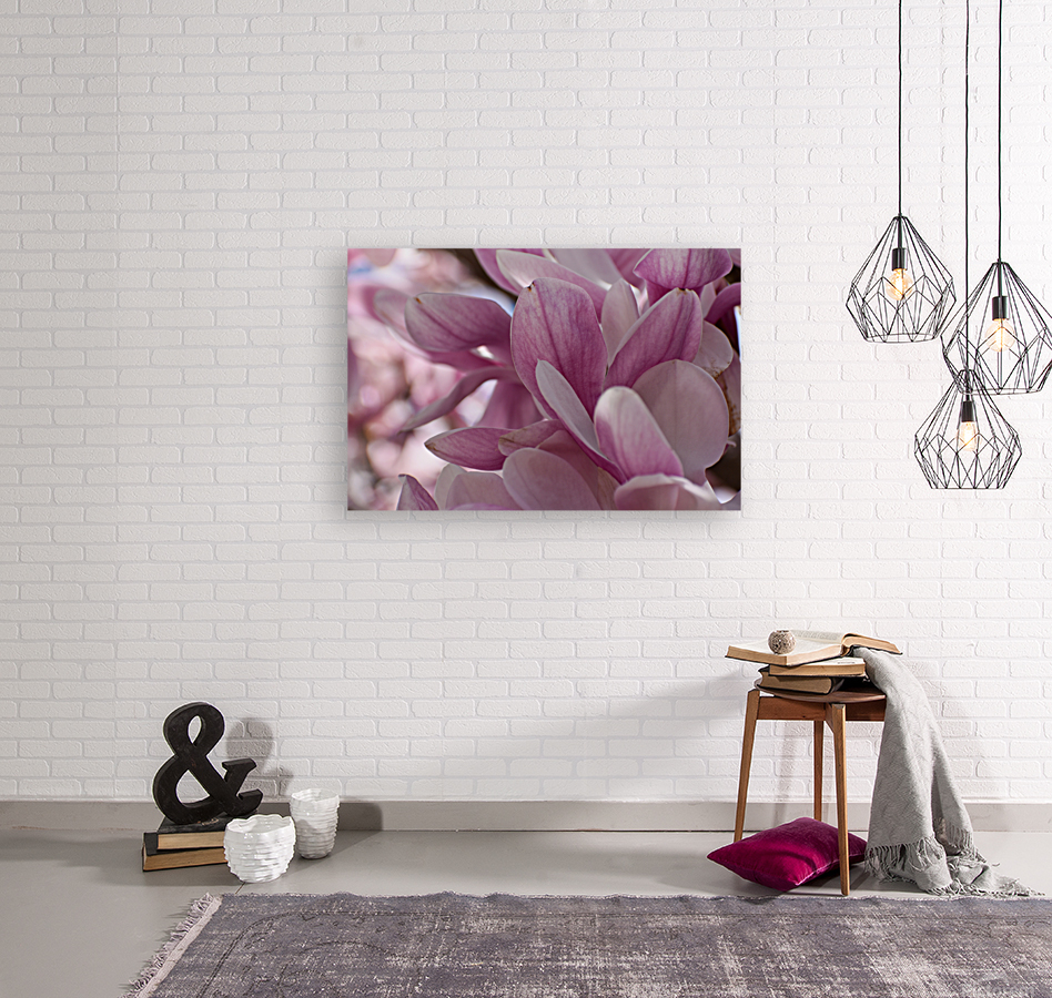 Magnolia  Reproduction