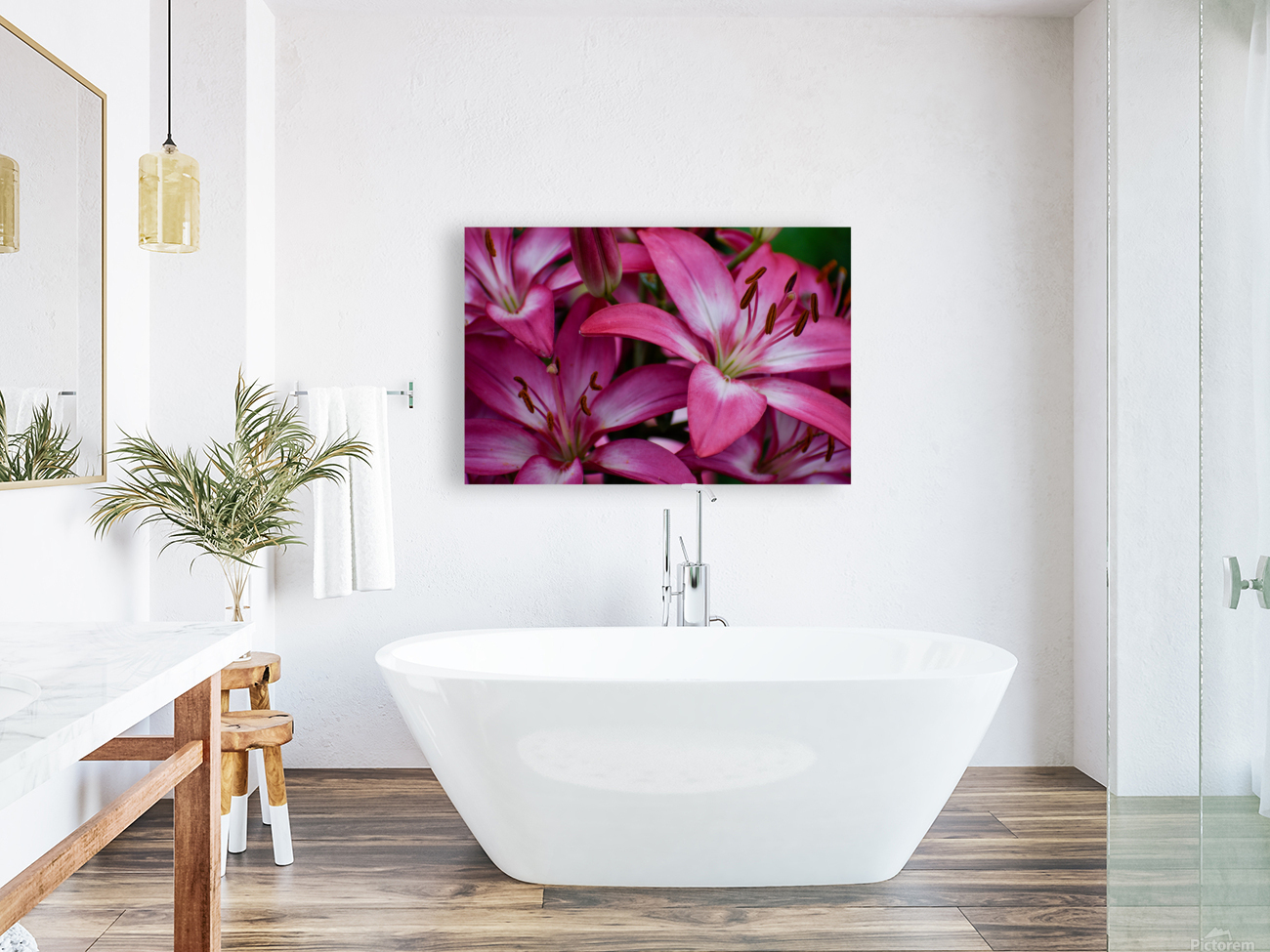 Lilium Reproduction