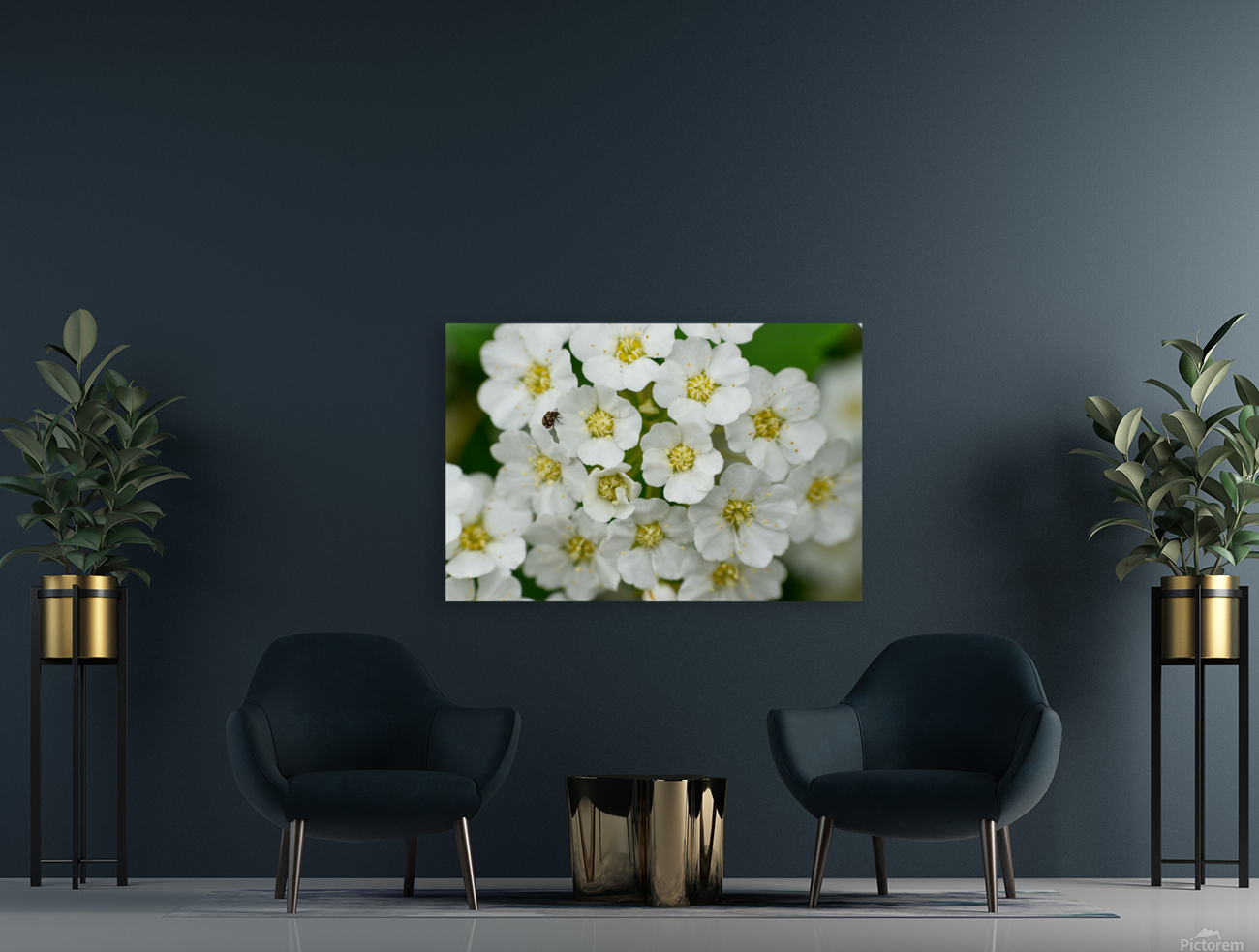 White Flowers  Reproduction