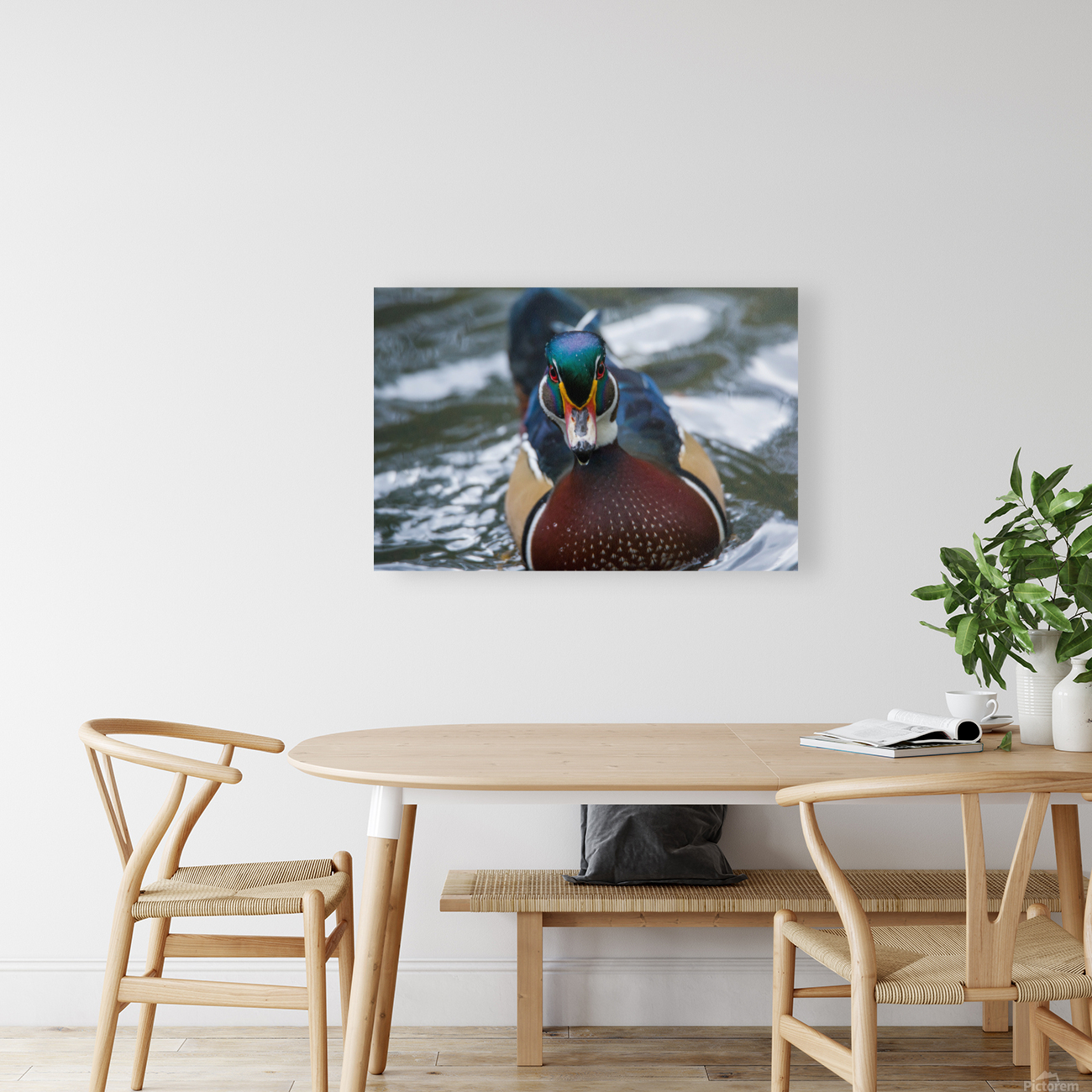 Wood Duck  Reproduction