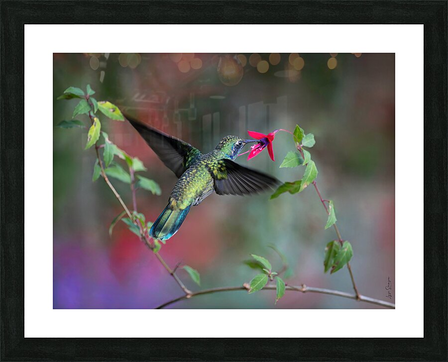 Butiner  Picture Frame print