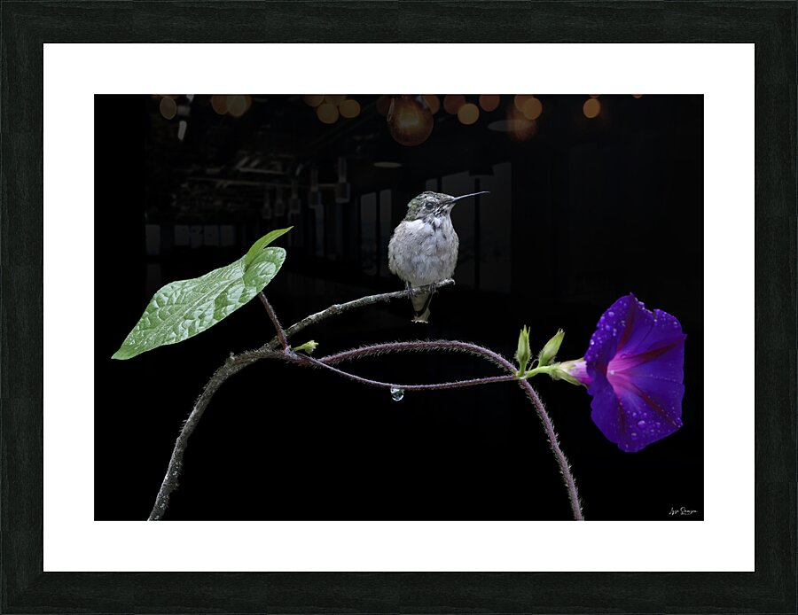 Au repos Picture Frame print